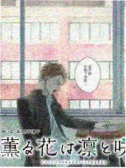 都市搏击类好看的生活片动作电影归档封面
